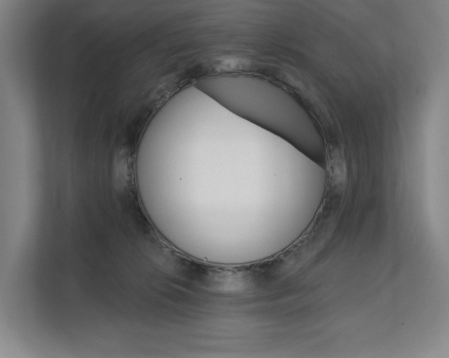 X0000111580276200907231241
