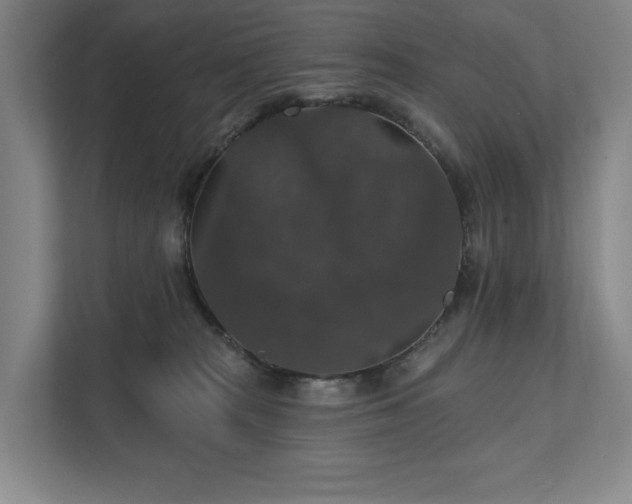 X0000111580277200907231241