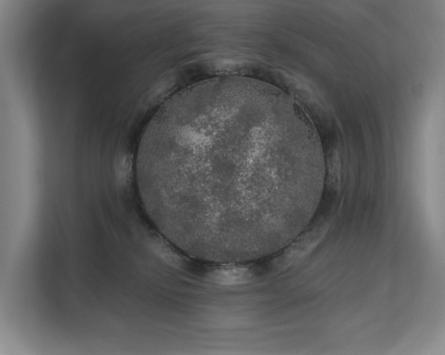 X0000111580278200907231241