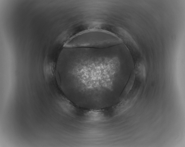 X0000111580280200907231241