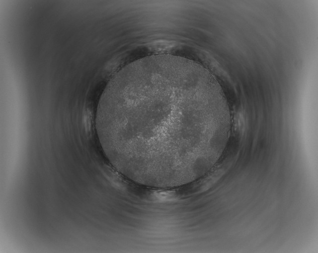 X0000111580283200907231241