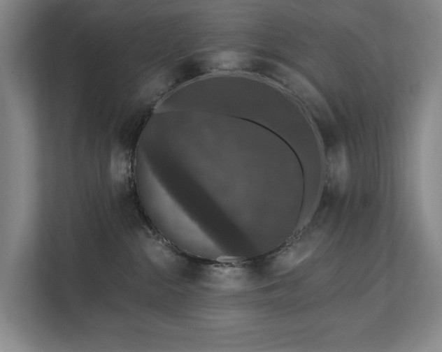 X0000111580284200907231241