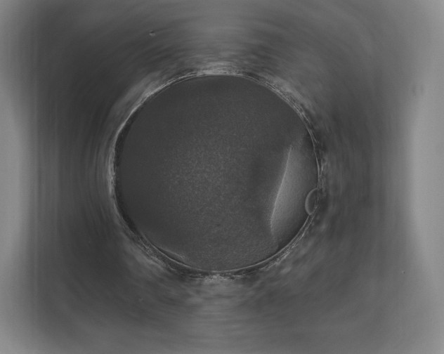 X0000111580290200907231241