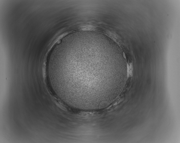 X0000111580291200907231241