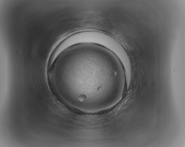 X0000111580292200907231241