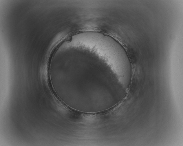 X0000111580293200907231241
