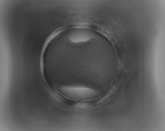 X0000111580294200907231241