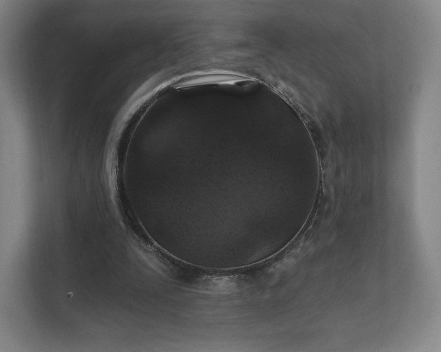 X0000111580295200907231241