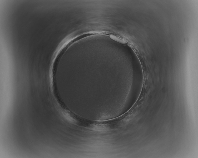 X0000111580296200907231241