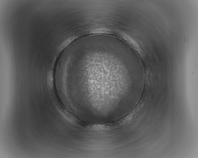 X0000111580298200907231241