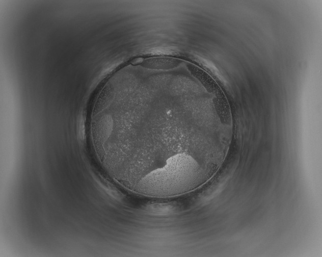 X0000111580299200907231241