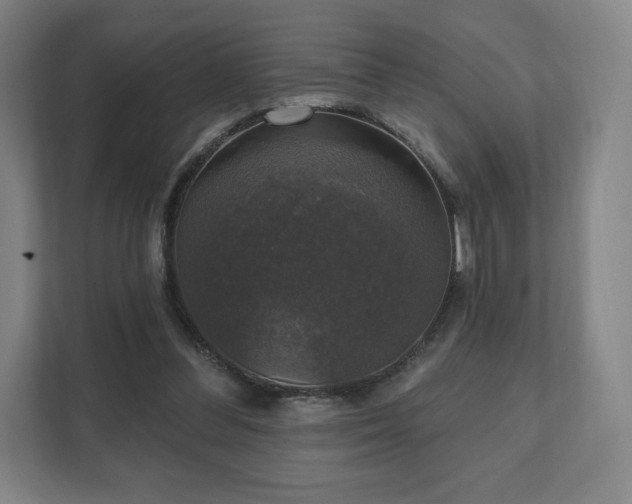 X0000111580300200907231241