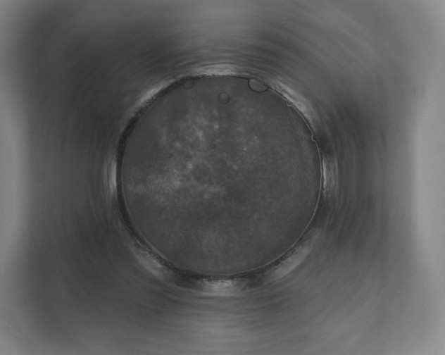 X0000111580301200907231241