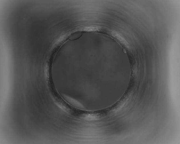 X0000111580303200907231241