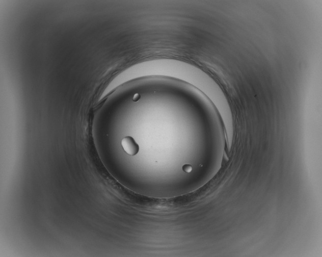 X0000111580308200907231241