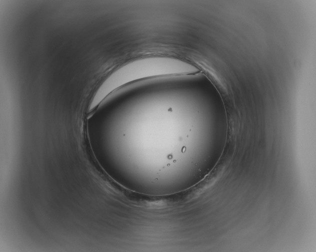 X0000111580309200907231241