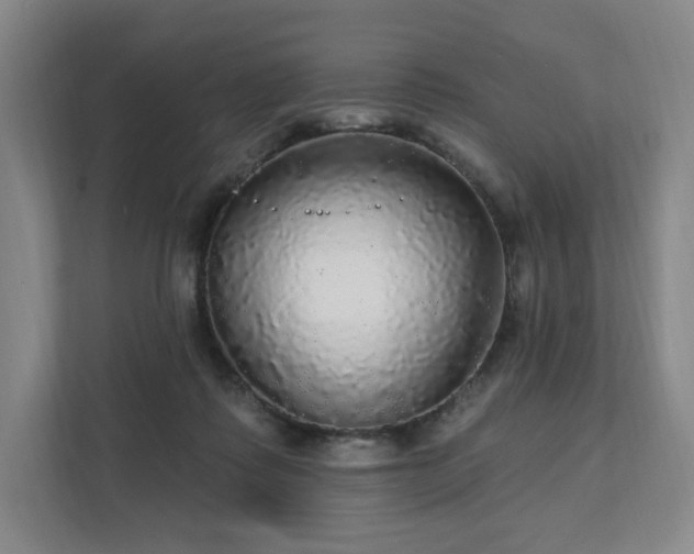 X0000111580315200907231240