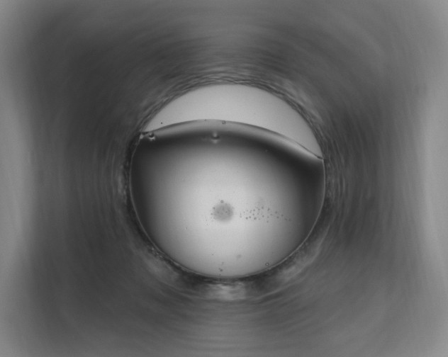 X0000111580317200907231240