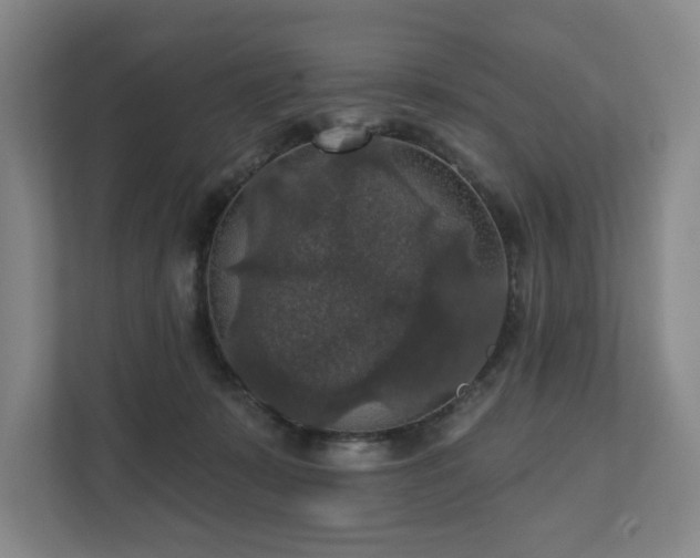 X0000111580319200907231240