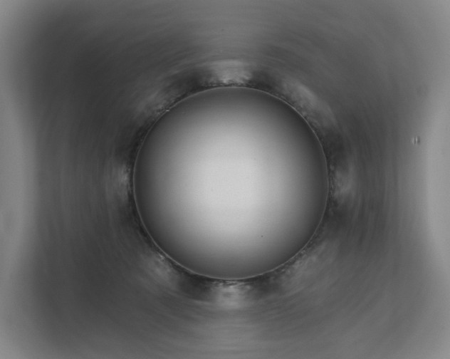 X0000111580321200907231240