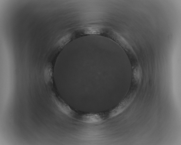 X0000111580322200907231240