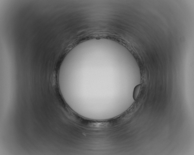 X0000111580323200907231240
