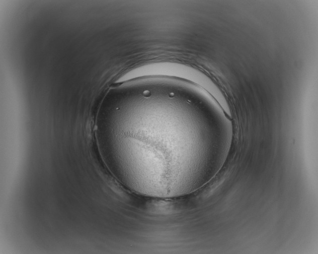 X0000111580325200907231240