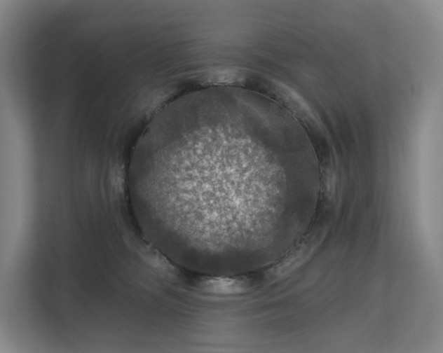 X0000111580326200907231240