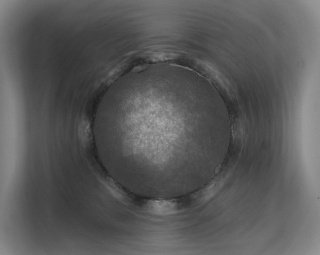 X0000111580327200907231240