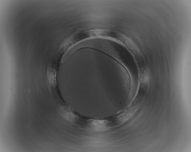 X0000111580332200907231240