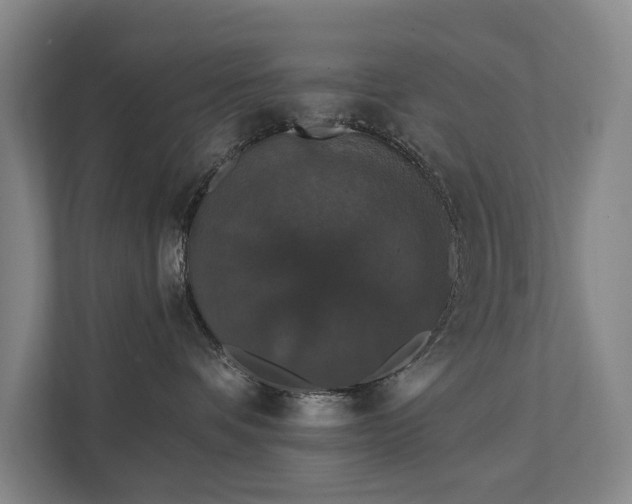 X0000111580336200907231240