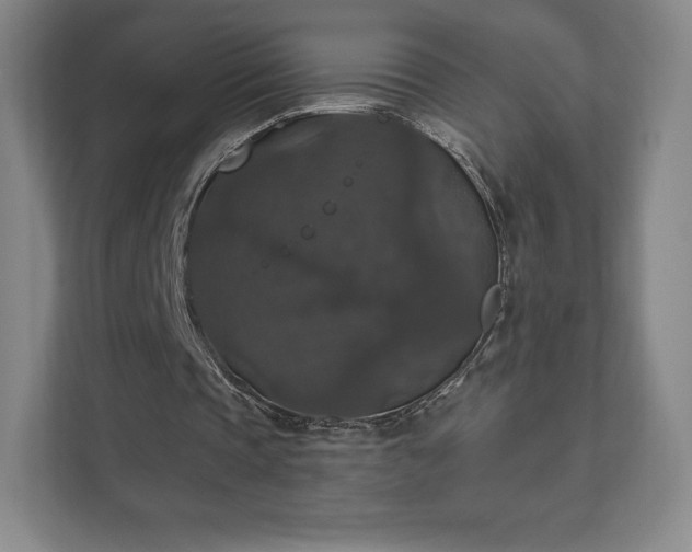 X0000111580337200907231240