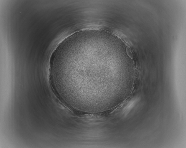 X0000111580338200907231240