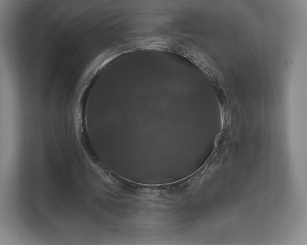X0000111580339200907231240