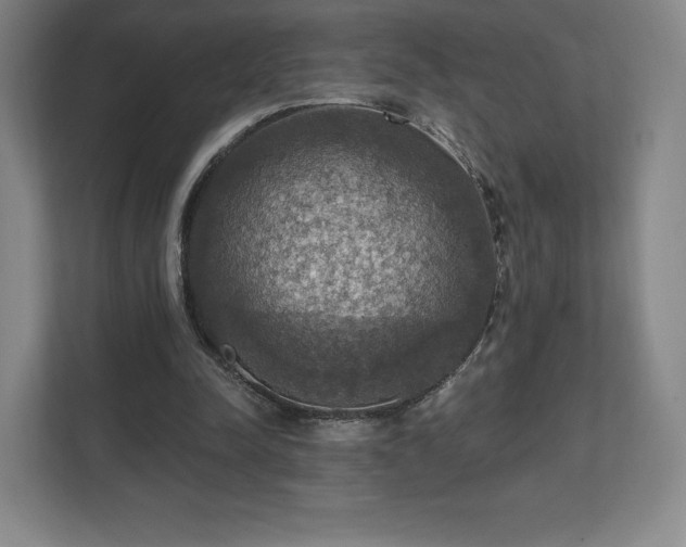 X0000111580342200907231240