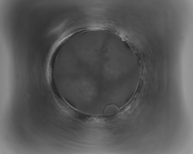 X0000111580343200907231240