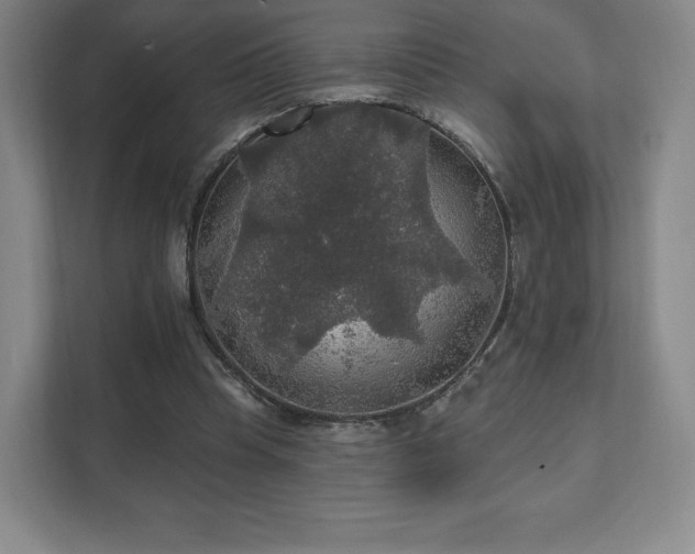 X0000111580345200907231240