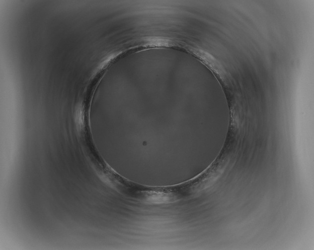 X0000111580347200907231240