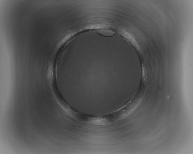 X0000111580348200907231240