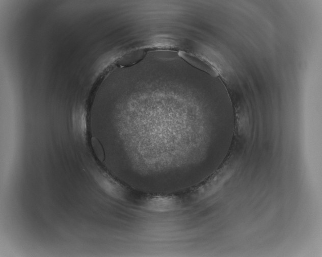 X0000111580350200907231240
