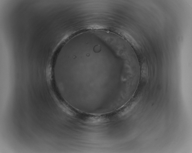 X0000111580351200907231240