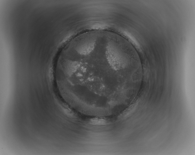 X0000111580354200907231240