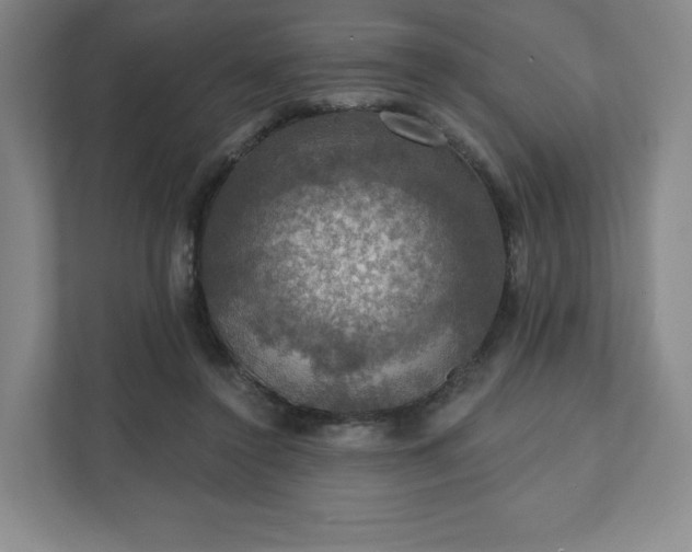 X0000111580356200907231240