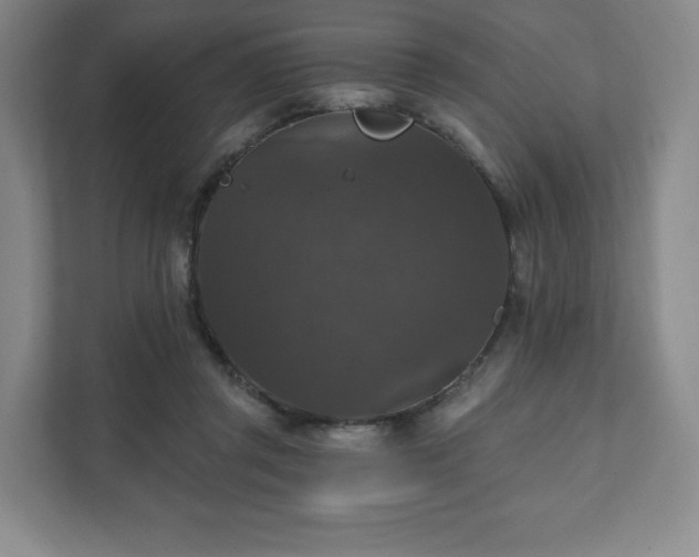 X0000111580357200907231240