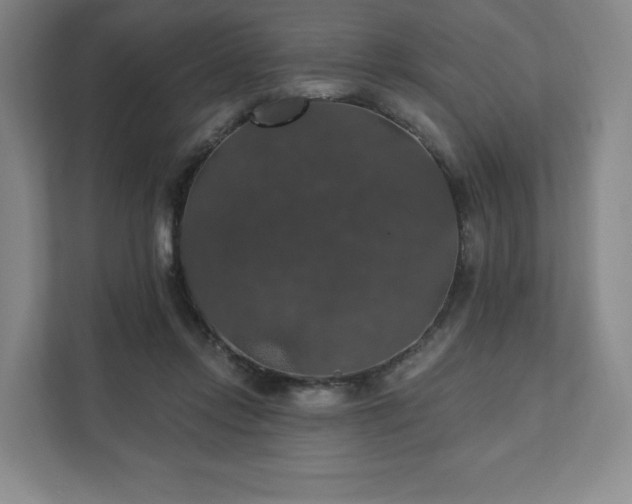 X0000111580358200907231240