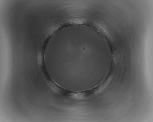 X0000111580359200907231240