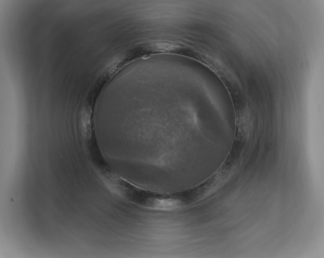 X0000111580360200907231240
