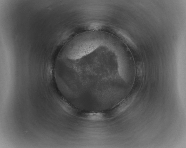 X0000111580363200907231240