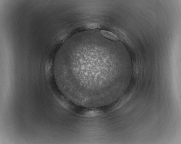 X0000111580364200907231240