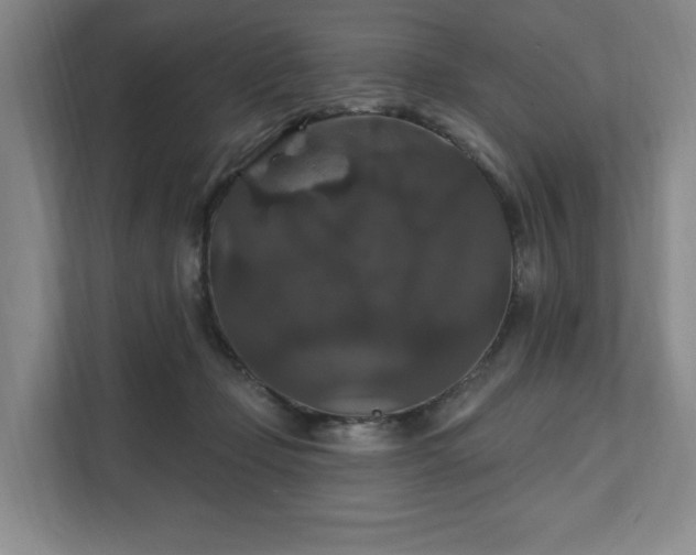 X0000111580365200907231240